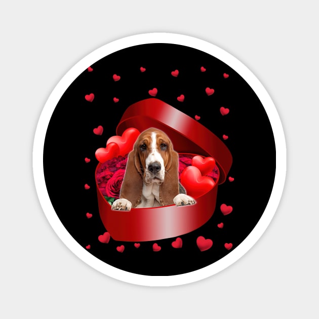 Basset Hound Dog In Sweet Heart Box Happy Valentine's Day Magnet by Benko Clarence